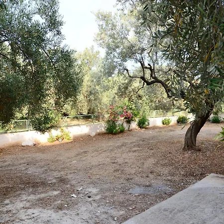 Armonia Guest house *
