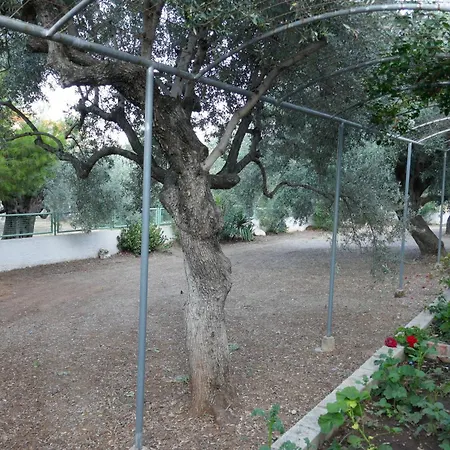 Guest house Armonia *